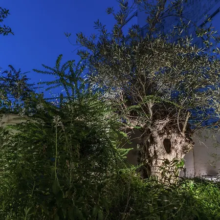 Olea Boutique Polignano Apartmán