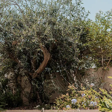 Olea Boutique Polignano * Полиньяно-а-Маре