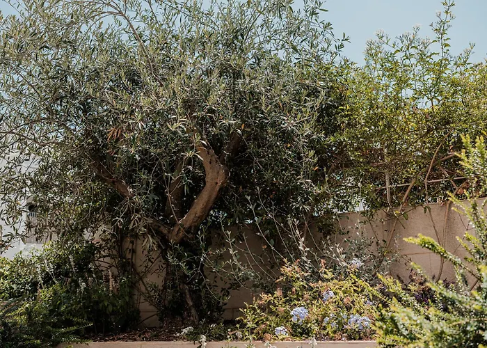 Olea Boutique Polignano * Polignano a Mare